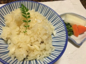 IMG_0371