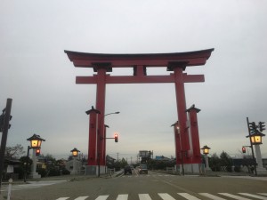 IMG_0479